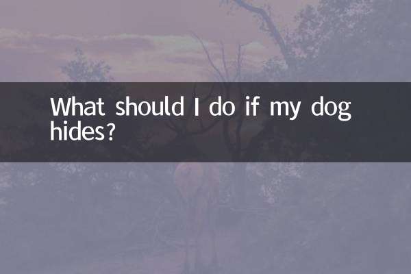 犬が隠れたらどうすればいいですか？