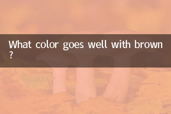 ブラウンに合う色は何色でしょうか？