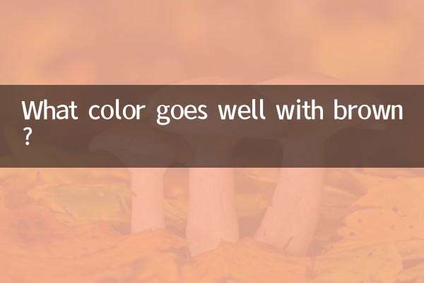 棕色配什么颜色好看