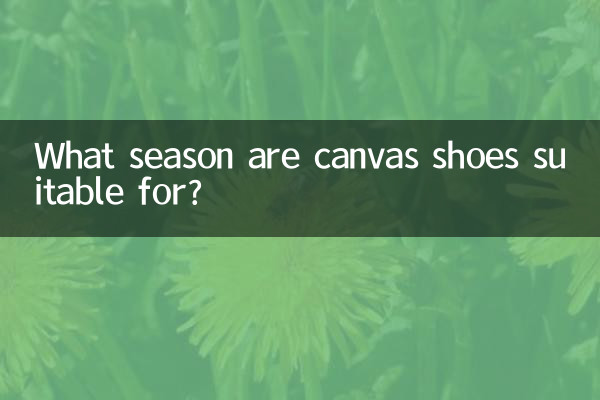 Pour quelle saison les chaussures en toile conviennent-elles ?