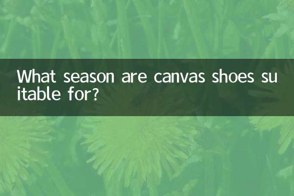 Pour quelle saison les chaussures en toile conviennent-elles ?