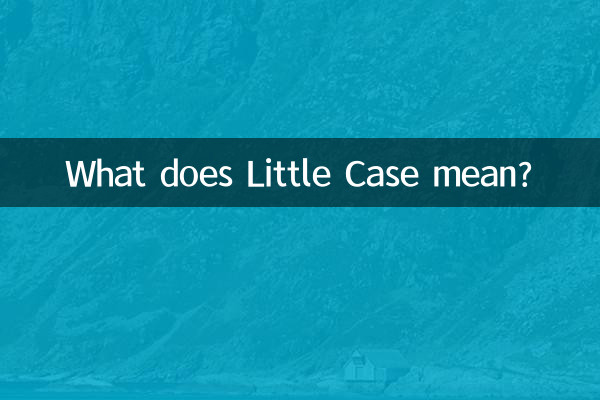 Que veut dire Petite Case ?