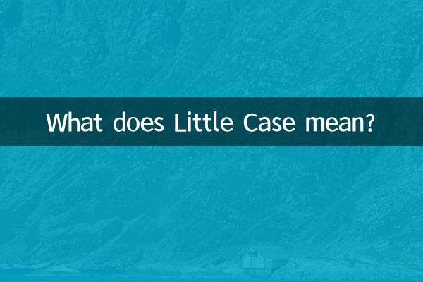 O que significa Pequeno Caso?