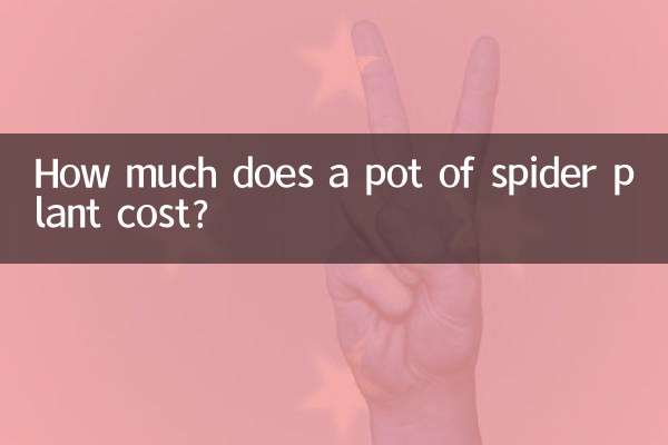 거미 식물 냄비의 가격은 얼마입니까?