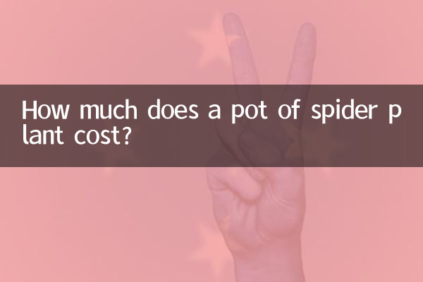 مکڑی کے پودوں کے برتن کی قیمت کتنی ہے؟