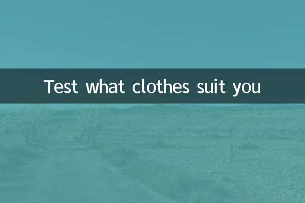 어떤 옷이 어울리는지 테스트해보세요