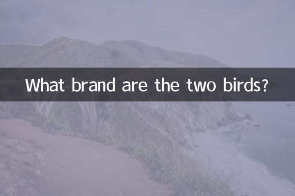 Di che marca sono i due uccelli?