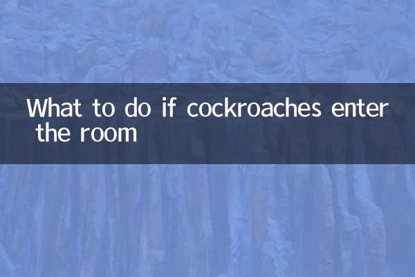 Что делать, если в комнату залезли тараканы