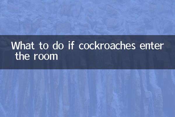 房間進蟑螂怎麼辦