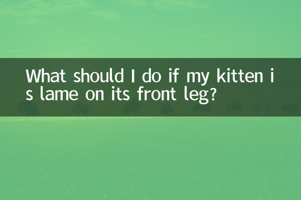 Was soll ich tun, wenn mein Kätzchen auf dem Vorderbein lahmt?