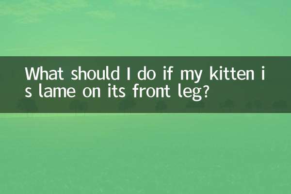 اگر میرا بلی کا بچہ اس کی اگلی ٹانگ پر لنگڑا ہے تو مجھے کیا کرنا چاہئے؟