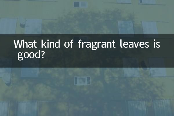 어떤 향기로운 잎이 좋은가요?