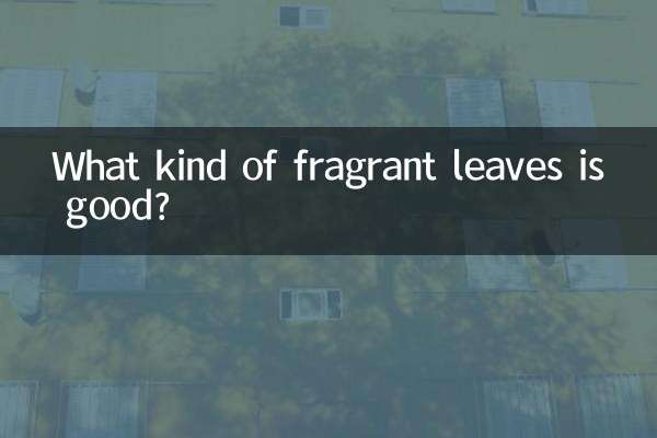 香りの良い葉っぱは何ですか？