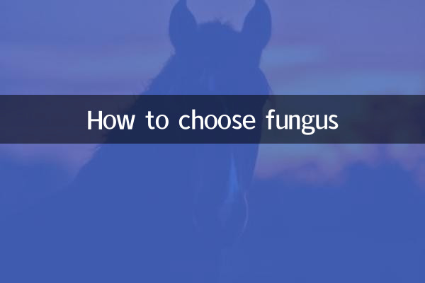 Comment choisir un champignon