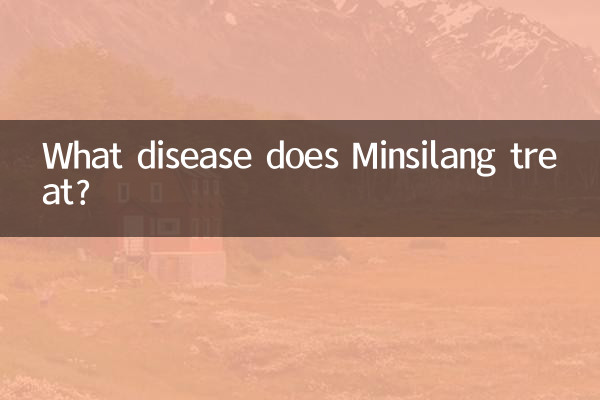ミンシランはどんな病気を治療しますか？