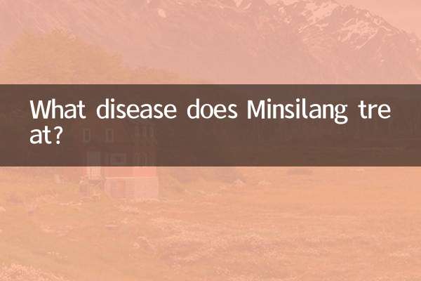 ミンシランはどんな病気を治療しますか？