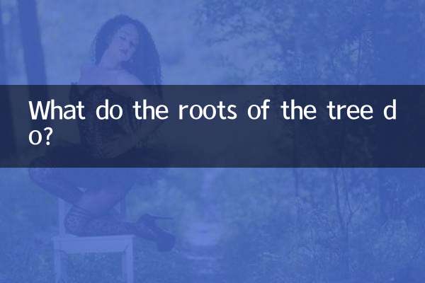 What do the roots of the tree do?