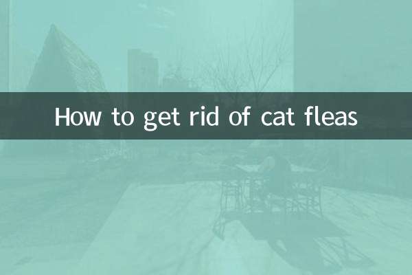 고양이 벼룩을 없애는 방법