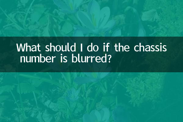 What should I do if the chassis number is blurred?