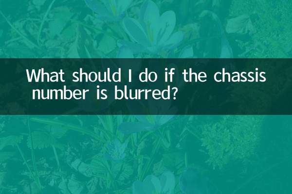 What should I do if the chassis number is blurred?