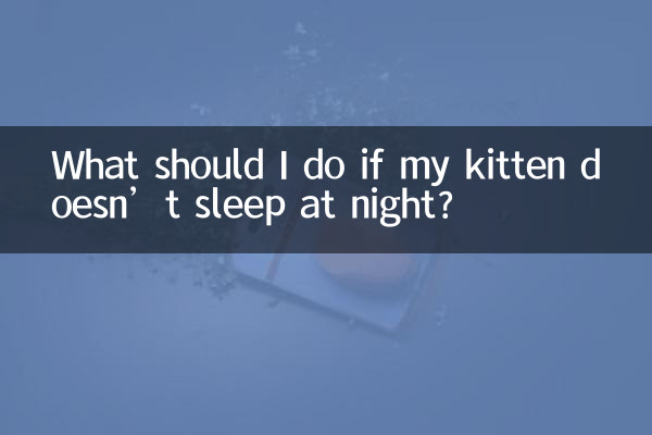 What should I do if my kitten doesn’t sleep at night?