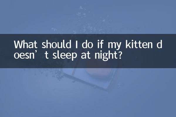 What should I do if my kitten doesn’t sleep at night?