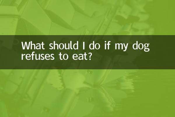 狗换不吃饭怎么办