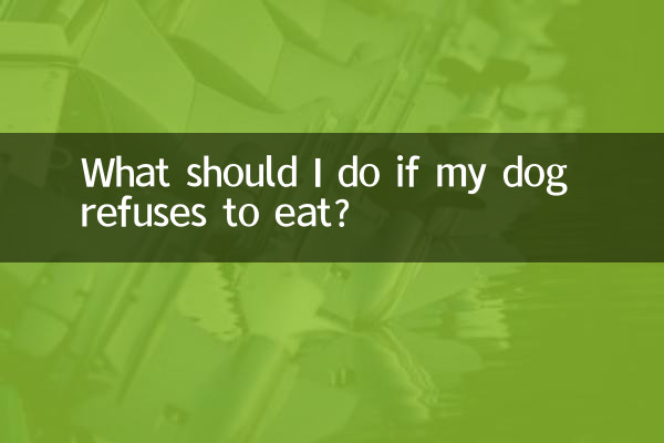 Cosa devo fare se il mio cane si rifiuta di mangiare?