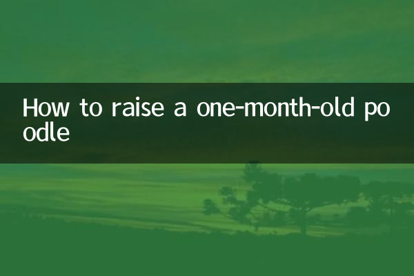 एक महीने के पूडल को कैसे पालें