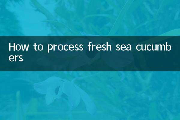 鮮海參怎麼處理