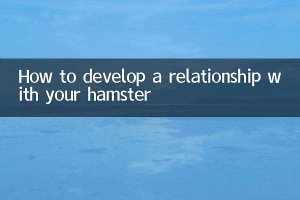 كيفية تطوير العلاقة مع الهامستر الخاص بك
