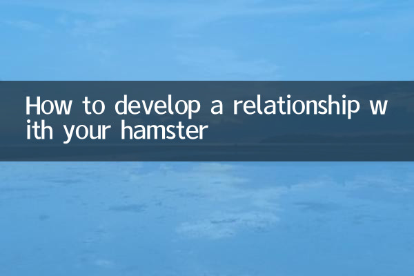 Come sviluppare una relazione con il tuo criceto