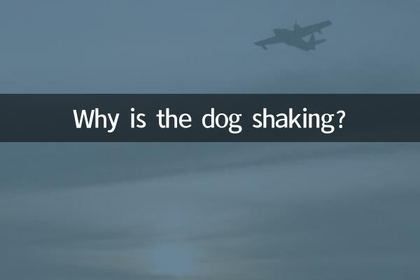 Por que o cachorro está tremendo?