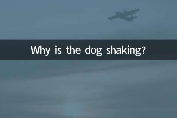 কুকুর কাঁপছে কেন?