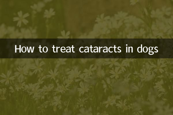 How to treat cataracts in dogs
