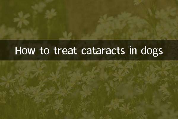 How to treat cataracts in dogs