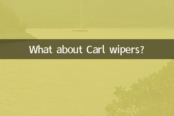 برف پاک کن های کارل چطور؟