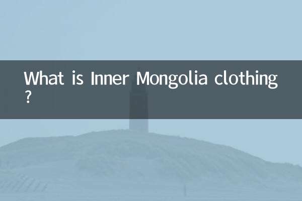 내몽고 의류는 무엇입니까?