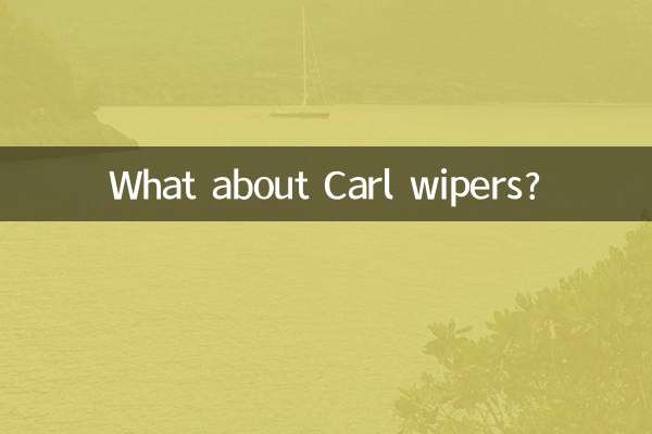 برف پاک کن های کارل چطور؟
