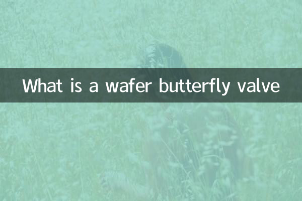 Was ist eine Wafer-Absperrklappe?