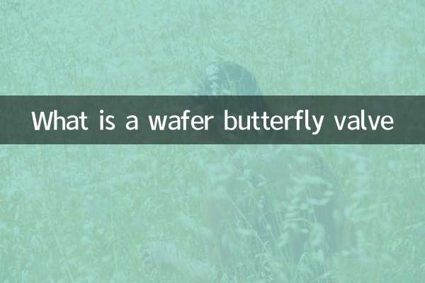 ウエハバタフライバルブとは