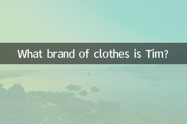 팀은 어떤 브랜드의 옷인가요?