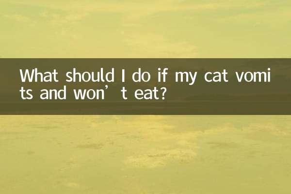 What should I do if my cat vomits and won’t eat?