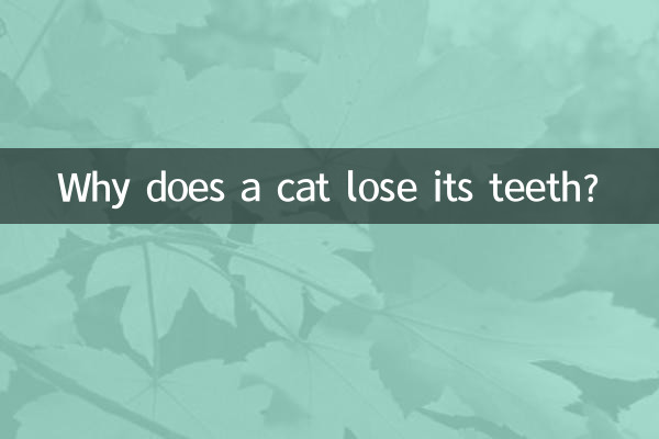 貓咪掉牙齒是怎麼回事