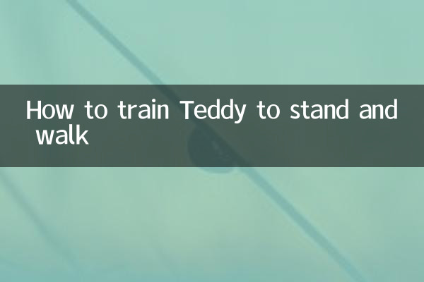 كيفية تدريب تيدي على الوقوف والمشي