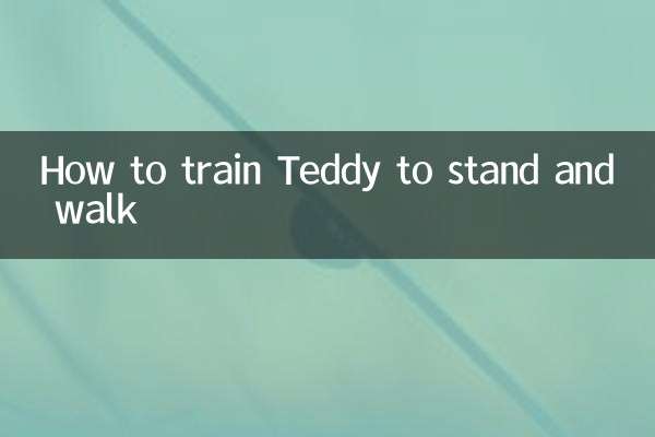كيفية تدريب تيدي على الوقوف والمشي