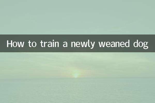 How to train a newly weaned dog