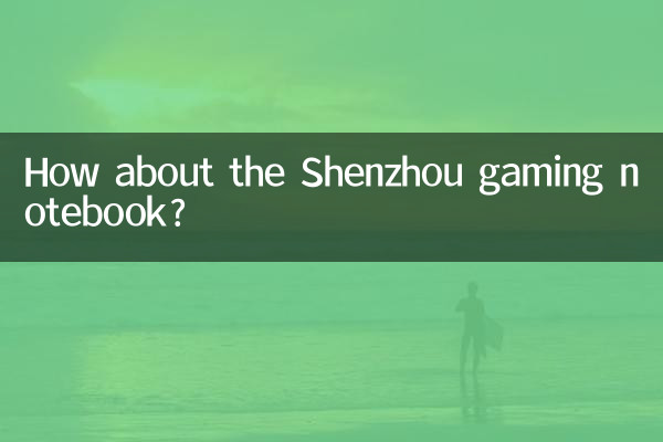 Shenzhou 게이밍 노트북은 어떻습니까?