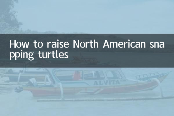 How to raise North American snapping turtles
