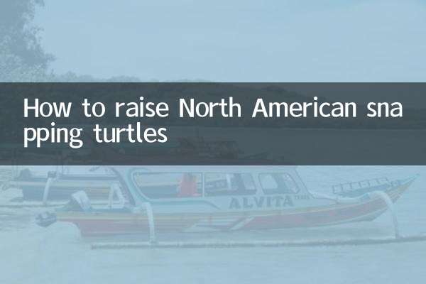 How to raise North American snapping turtles